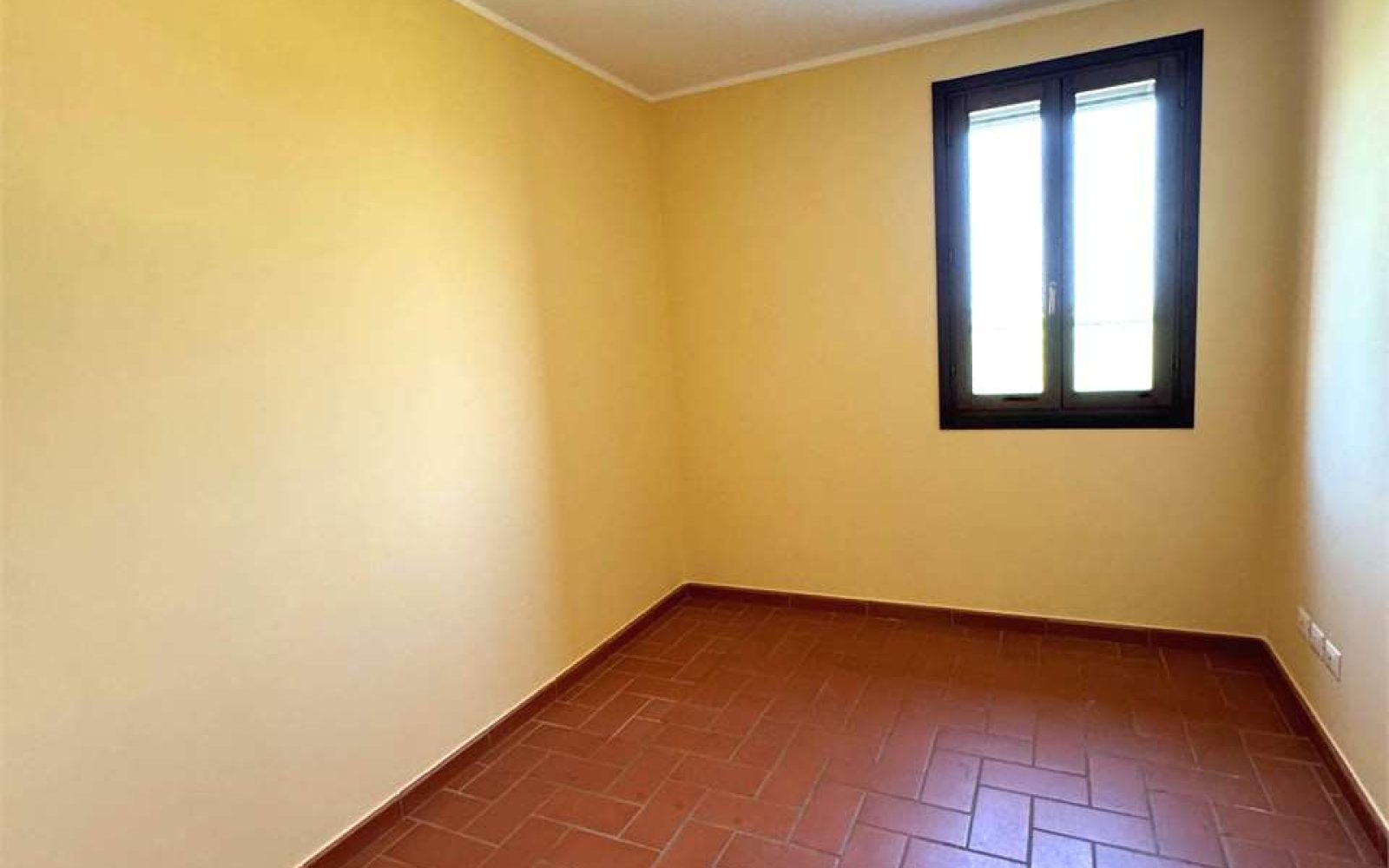 imm_1572-20240615202704-1280