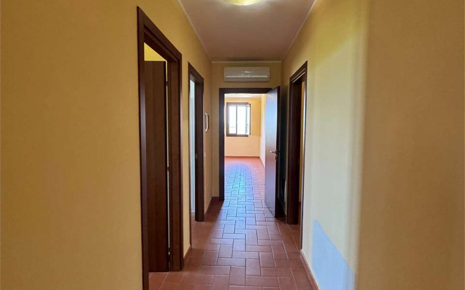 imm_1579-20240615203019-1280