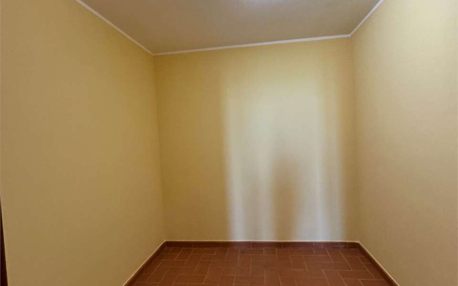 imm_1587-20240615203307-1280