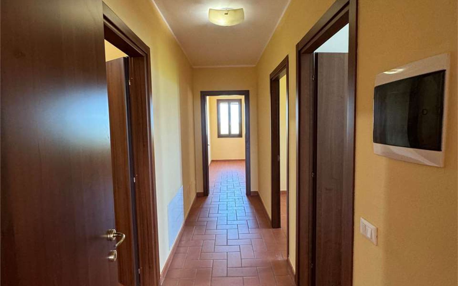 imm_1595-20240615212733-1280