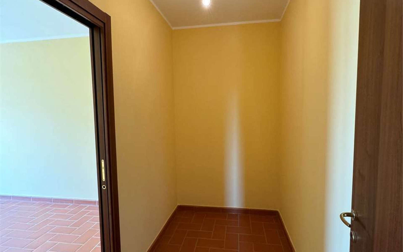 imm_1612-20240615204832-1280