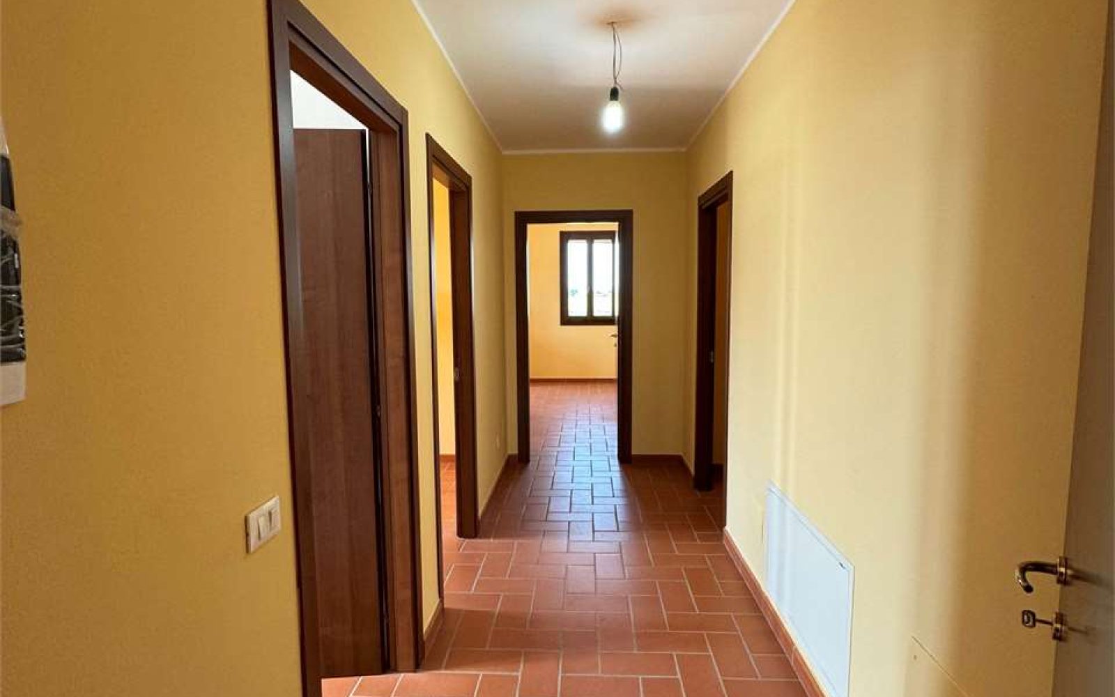 imm_1628-20240615204001-1280