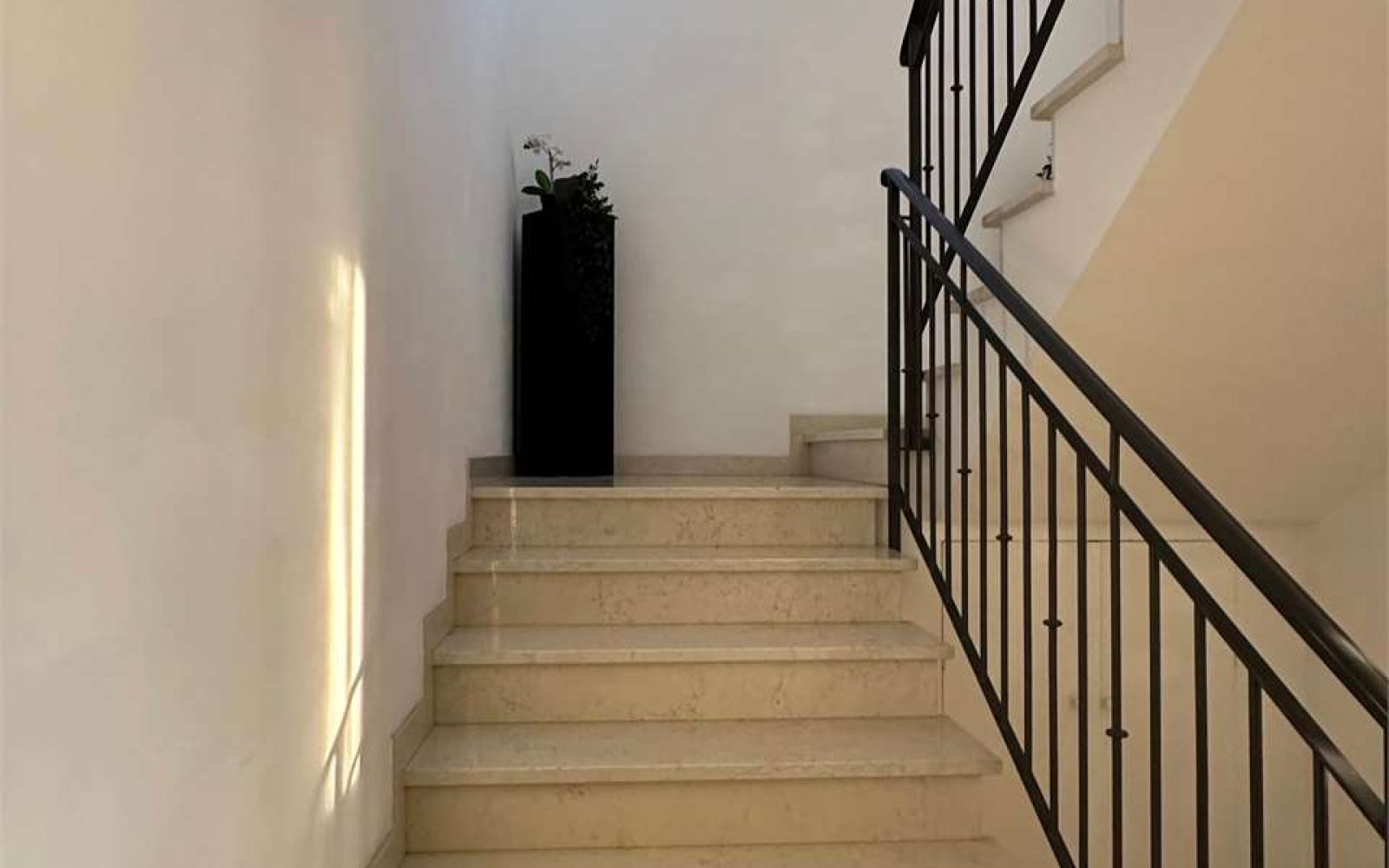 imm_4536-20241209104351-1280