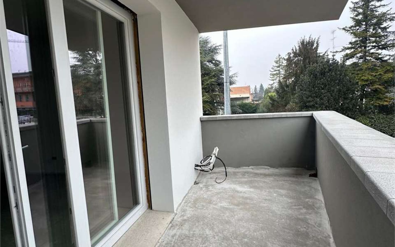 imm_5446-20250205164030-1280